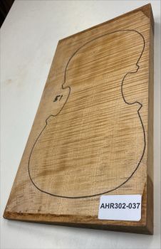 Satz B+Z+H Riegelahorn Violine, 1-tlg. Boden Einzelstück #037